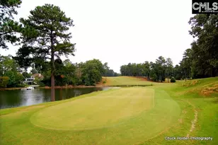 508 Links Pointe Ct, Chapin, SC 29036 - Photo 75