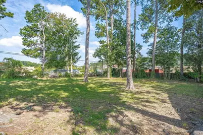 128 Latonea Drive, Columbia, SC 29210 - Photo 31