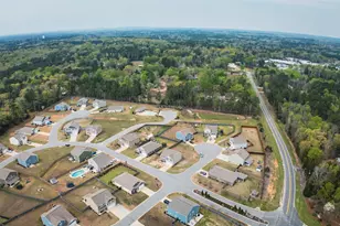 308 Throne Ct, Chapin, SC 29036 - Photo 61