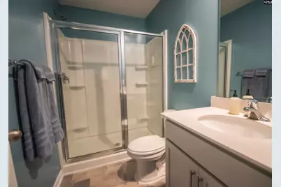 308 Throne Court, Chapin, SC 29036 - Photo 23