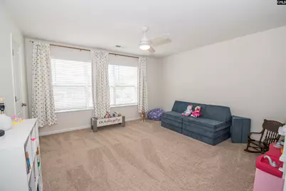 308 Throne Court, Chapin, SC 29036 - Photo 25