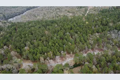 Tbd Edisto Lake Road 102 #102, Wagener, SC 29164 - Photo 11