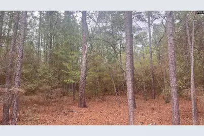 Tbd Edisto Lake Road 102 #102, Wagener, SC 29164 - Photo 9
