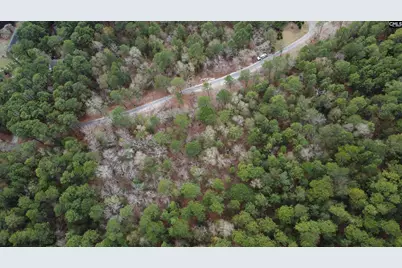 Tbd Edisto Lake Road 102 #102, Wagener, SC 29164 - Photo 15