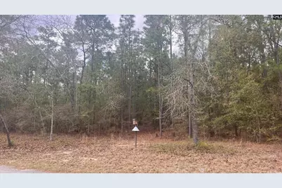Tbd Edisto Lake Road 102 #102, Wagener, SC 29164 - Photo 7