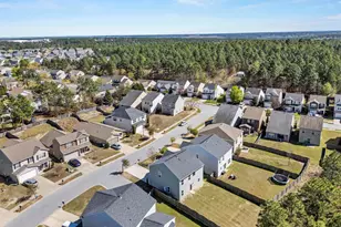 115 Hemphill Rd, Lexington, SC 29072 - Photo 43