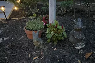 2204 Bee Ridge Rd, Columbia, SC 29223 - Photo 47