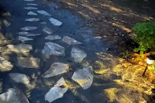 2204 Bee Ridge Rd, Columbia, SC 29223 - Photo 45