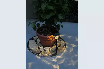 2204 Bee Ridge Road, Columbia, SC 29223 - Photo 49