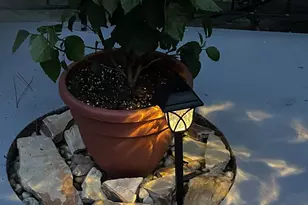 2204 Bee Ridge Rd, Columbia, SC 29223 - Photo 49