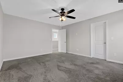 703 Mayflower Trail, Chapin, SC 29036 - Photo 17