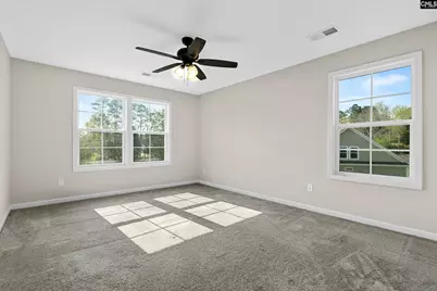 703 Mayflower Trail, Chapin, SC 29036 - Photo 33