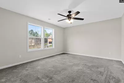 703 Mayflower Trail, Chapin, SC 29036 - Photo 25