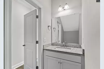 703 Mayflower Trail, Chapin, SC 29036 - Photo 23