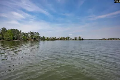 741 Wildwood Road, Leesville, SC 29070 - Photo 61