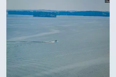 741 Wildwood Road, Leesville, SC 29070 - Photo 63