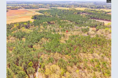 Springvale Drive, Bishopville, SC 29010 - Photo 5