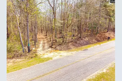 Springvale Drive, Bishopville, SC 29010 - Photo 9