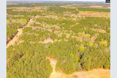 Springvale Drive, Bishopville, SC 29010 - Photo 7