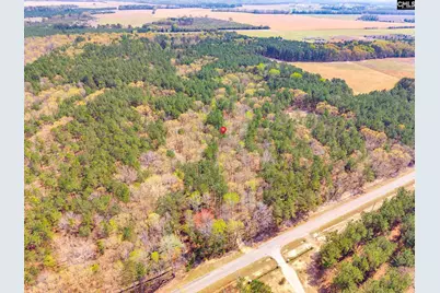 Springvale Drive, Bishopville, SC 29010 - Photo 3