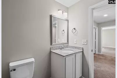 116 Chetsley Drive, Lexington, SC 29073 - Photo 19