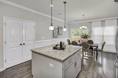 243 Sallie Gordon Lane, Elgin, SC 29045 - Photo 13