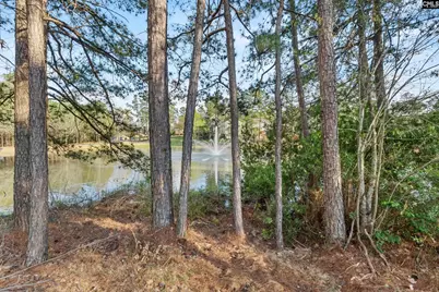 284 October Glory Drive, Blythewood, SC 29016 - Photo 5