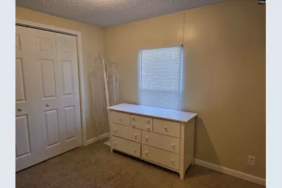 1125 Rushing Road, Blythewood, SC 29016 - Photo 31