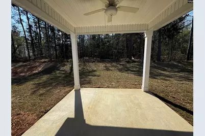 598 Griffon Drive, Chapin, SC 29036 - Photo 29