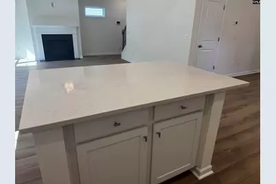 598 Griffon Drive, Chapin, SC 29036 - Photo 7