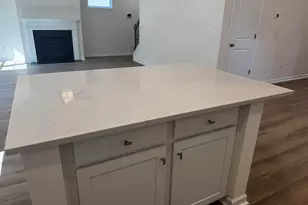 598 Griffon Dr, Chapin, SC 29036 - Photo 7