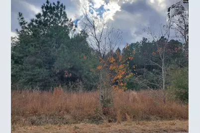 1152 Water Tank Road, Pelion, SC 29123 - Photo 45