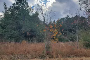 1152 Water Tank Rd, Pelion, SC 29123 - Photo 45