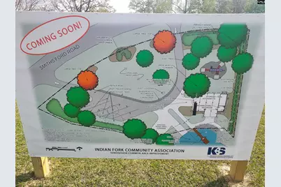 111 Smiths Ford Road, Chapin, SC 29036 - Photo 25