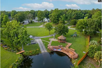 111 Smiths Ford Road, Chapin, SC 29036 - Photo 17