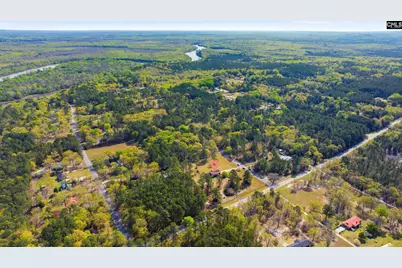 111 Plantation Estates Road, Sandy Run, SC 29053 - Photo 31