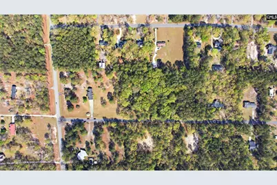 111 Plantation Estates Road, Sandy Run, SC 29053 - Photo 33