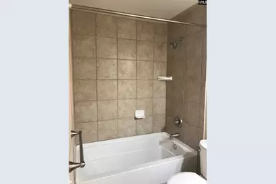 3102 Emanuel Church Road, Lexington, SC 29073 - Photo 9