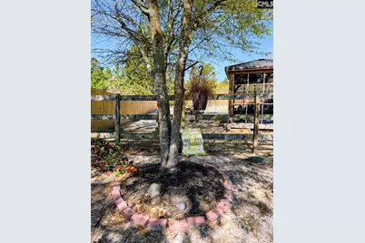 230 Crassula Drive, Lexington, SC 29073 - Photo 39