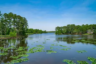 221 Bostwick Ridge, Columbia, SC 29229 - Photo 61