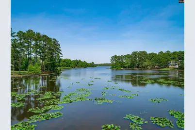 221 Bostwick Ridge, Columbia, SC 29229 - Photo 59