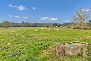 8347 St Lukes Church Rd, Newberry, SC 29108 - Photo 15