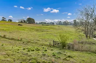 8347 St Lukes Church Rd, Newberry, SC 29108 - Photo 9