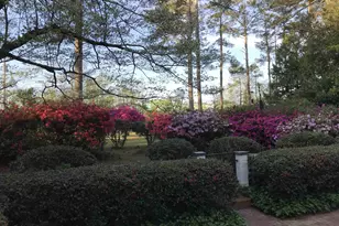 2411 Springdale Dr, Camden, SC 29020 - Photo 95