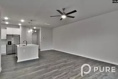 217 Sunny Hill Drive, Blythewood, SC 29016 - Photo 19