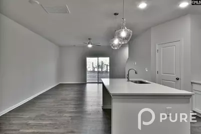 217 Sunny Hill Drive, Blythewood, SC 29016 - Photo 9