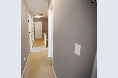 145 Stonemont Drive, Irmo, SC 29063 - Photo 55