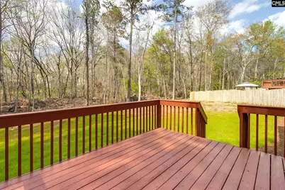 203 Magnolia Bluff Drive, Columbia, SC 29229 - Photo 17