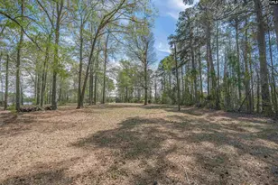 100 Harbors End Dr, Saluda, SC 29138 - Photo 9