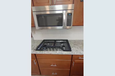 113 Montauk Drive, Lexington, SC 29072 - Photo 9